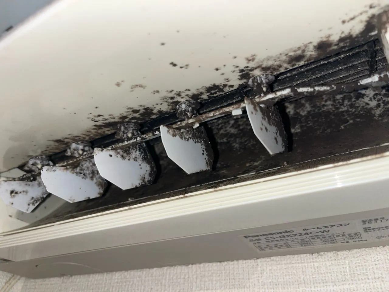 パナソニック お掃除機能付きエアコン CS-GX224C 作業前 内部のカビ汚れ