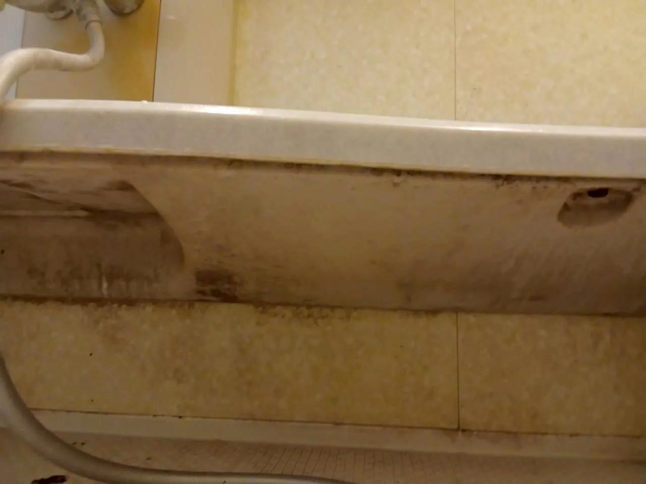 浴室クリーニング 作業前 カウンター下 浴室クリーニング 作業前 カウンター下