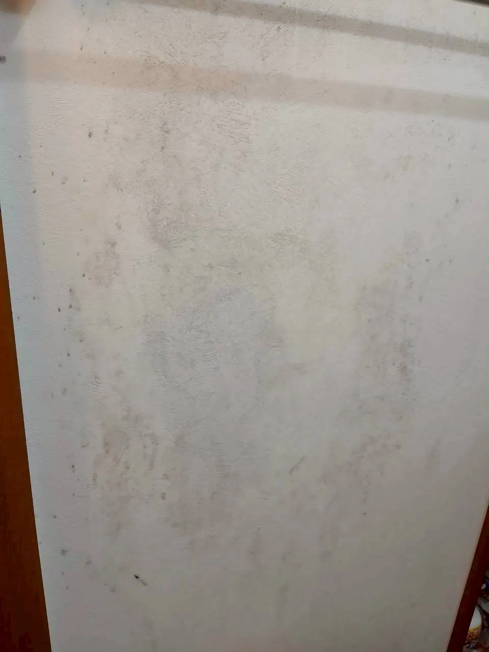 浴室クリーニング 作業前 浴室壁 浴室クリーニング 作業前 浴室壁